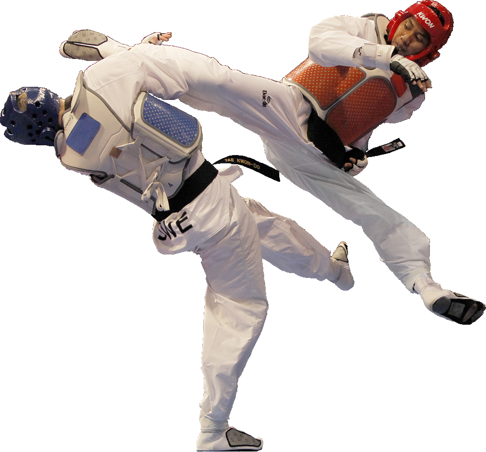 What Is Taekwondo | Gajok Taekwondo